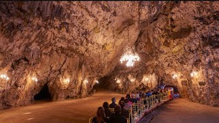 Postojna Cave Slovenia  Guided Tour  17 June 2023 [upl. by Nwavahs583]