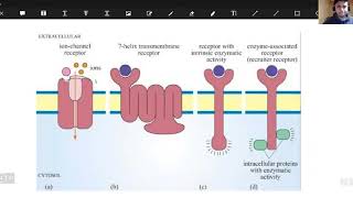 Receptors and Intracellular Signaling Free Webinar [upl. by Margreta]