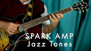 Positive Grid Spark Amp  Spark amp JAZZ [upl. by Alvis911]