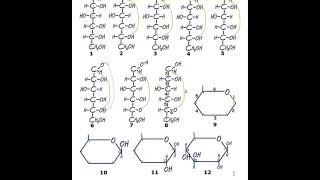 Ciclación de monosacáridos  Ejemplo práctico de ciclación de la glucosa [upl. by Yelssew]