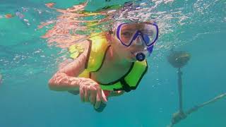 Turtle Bay Sail amp Snorkel Adventure Charlotte Amalie St Thomas [upl. by Eiramenna]