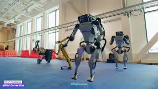 Hoja Rangila Robot 🎧🔊 BestConnexion [upl. by Aihsena]