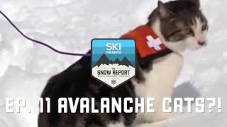 The Snow Report Episode 11 Avalanche Cats at Copper [upl. by Onaled]