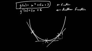 What is Differentiation [upl. by Enilrac]