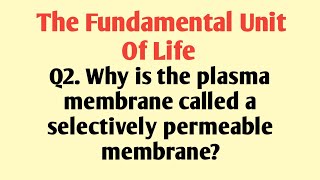 Q2 Why is the plasma membrane called a selectively permeable membrane [upl. by Nyrat60]