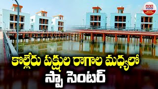 Kolleru Resort in Eluru  కొల్లేరు పక్షుల రాగాల మధ్యలో స్పా సెంటర్  ABN Digital Exclusives [upl. by Papst]