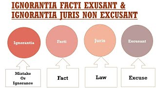 Ignorantia Facti Exusant and Ignorantia Juris non Excusant [upl. by Yeslaehc]