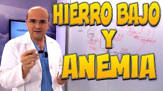 HIERRO BAJO y ANEMIA  Enfermedades 37 [upl. by Balbur840]