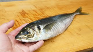 鯵（アジ）のさばき方と刺身の作り方 Horse mackerel sashimi [upl. by Rawden]