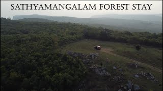 Sathyamangalam Tiger Reserve  Forest Stay [upl. by Rossner]