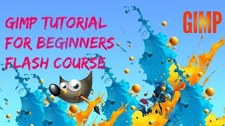 Gimp Tutorial For Beginners Flash Course [upl. by Enilreug]