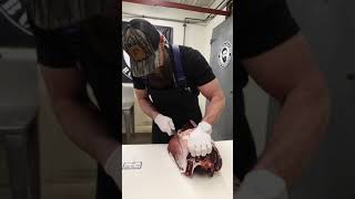 Watch now on YouTube We DryAged Deer for 6 WEEKS Does it Make a Difference 🦌🔥🔪 shorts [upl. by Serle]