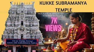 Kukke Subramanya Temple  Kukke Subramanya Temple Ashlesha Bali Pooja Details  Hindi [upl. by Peirce]