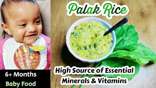 Palak Rice For Babies Spinach Rice Recipe 6 Months Baby FoodRice Recipes for BabiesPalak Recipes [upl. by Ahsenor]