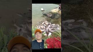 Excelente pesca fishing pescado fish pesca [upl. by Ahsaetal965]