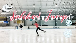 Single Salchow Jump  Figure Skating [upl. by Lytsirhc237]