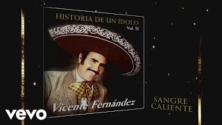 Vicente Fernández  Sangre Caliente Cover Audio [upl. by Wendelina205]