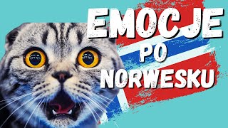 Język norweski nauka  EMOCJE po norwesku  1000 słów część 4 [upl. by Kennett]