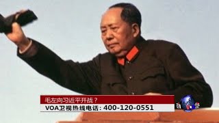 时事大家谈：毛左向习近平开战？ [upl. by Dat]