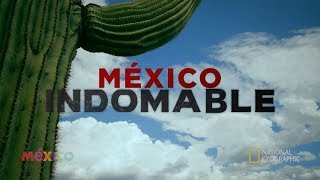 México Indomable Episodio 2 [upl. by Aicirtel864]