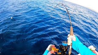 Deep Sea Fishing  The Strongest Fish on Earth CATCH CLEAN COOK  Field Trips Panama [upl. by Isyad]