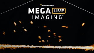 MEGA Live Imaging™  MEGA Imaging in Live Motion  Humminbird [upl. by Akkeber]