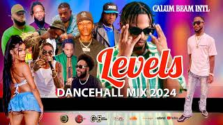 Dancehall Mix 2024  New Dancehall Songs  Levels  450Chronic lawAlkalineVybz kartelNigy Boy [upl. by Thissa]