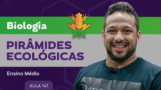 Pirâmides ecológicas​  Biologia  Ensino Médio [upl. by Nawram749]