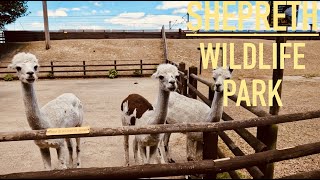 Shepreth Wildlife Park  Walking Tour  4K [upl. by Inalaek]