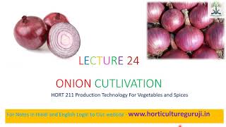 HORT211  Lecture 24 Onion Cultivation  प्याज की खेती [upl. by Darleen]