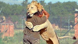 Animals Reunited With Owners After Years [upl. by Adnoraj]