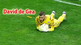 David de Gea is still WORLDCLASS in 2024 [upl. by Bret21]