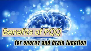 Benefits of PQQ for energy and brain function  Pyrroloquinoline Quinone Disodium Salt factory [upl. by Akcimehs]