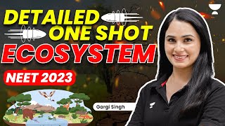 Detailed One Shot  Ecosystem  NEET 2023  Gargi Singh [upl. by Frodina]