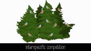 Species Interactions [upl. by Durkin]