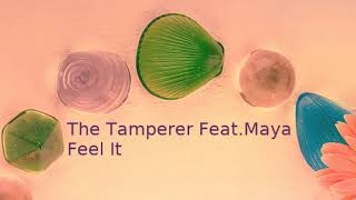 The Tamperer FeatMaya  Feel It [upl. by Lyrej63]