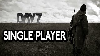 How to play DayZ in Single Player  Easy Guide [upl. by Cannice]