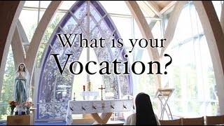 What is my vocation [upl. by Emee]