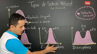 Tipos de seleção natural Direcional Estabilizadora Disruptiva e Sexual  Evolução [upl. by Frieda429]