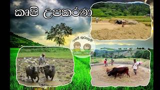 Krushi Upakarana පරිසරය පාඩම අප පරිහරණය කරන දේ කෘෂි උපකරණ Lesson 6 [upl. by Ydisahc]