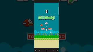 Flappy Bird Gameplay [upl. by Attenna139]