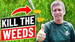 How to Kill Weeds in the Lawn Without Killing Grass [upl. by Norud]