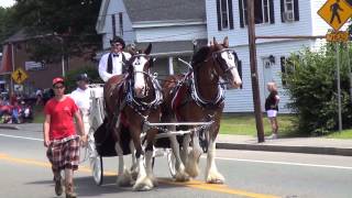 Stoughton MA 4th of July 2013 Parade complete HD [upl. by Aisauqal431]