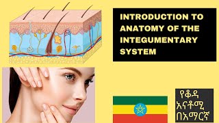 Anatomy Cells and tissues Interesting Video Lecture with Amharic Speech Part 2 [upl. by Navnod17]