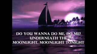 In the Moonlight  Dylan lyrics [upl. by Cantu129]