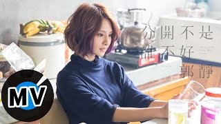 郭靜 Claire Kuo  分開不是誰不好 After the Love Has Gone 官方版MV  韓劇《未生》片尾曲 [upl. by Aisor101]