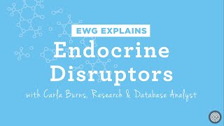 What are endocrine disruptors [upl. by Edmead]