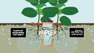 The Thirsty Earth Garden Watering System [upl. by Yhotmit608]