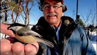 BIRD WHISPERER shows How To GET BIRDS to EAT OUT OF YOUR HAND [upl. by Scribner]