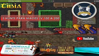 5 Hunts para Mage Fazer XP solo LV 100 a 200  ED  MS l RiickGames [upl. by Lemhar281]